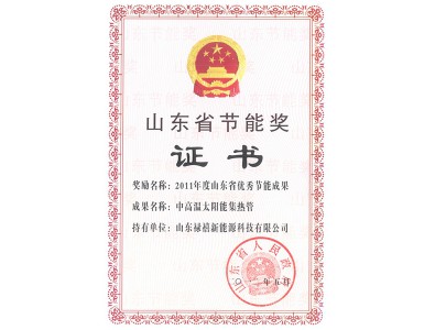 Shandong energy saving Achievement Award